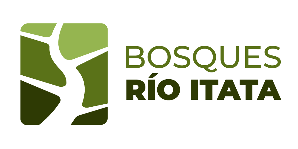 Bosques Río Ítata Importaciones
